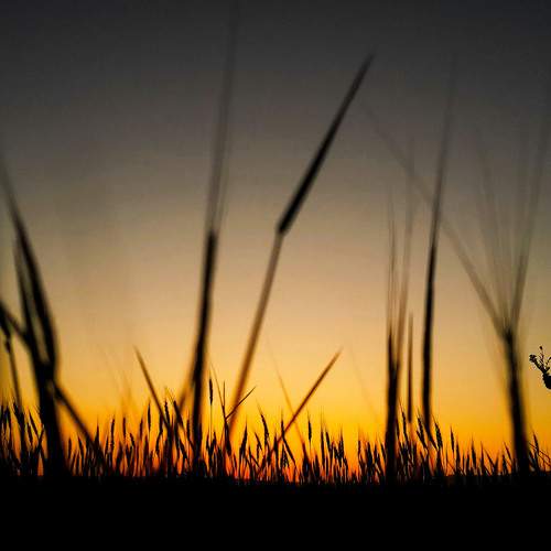 Photo #7877340