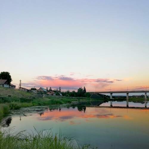 Photo #7877432