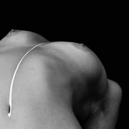 Photo #7878571