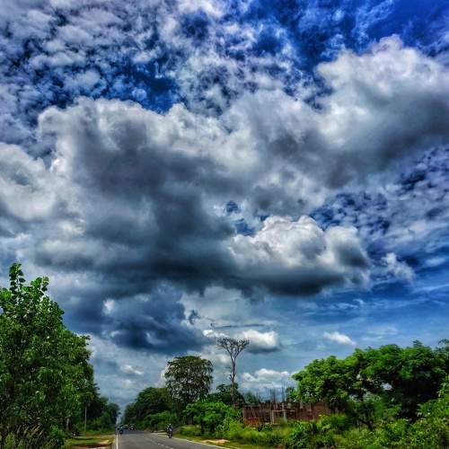 Photo #7878797