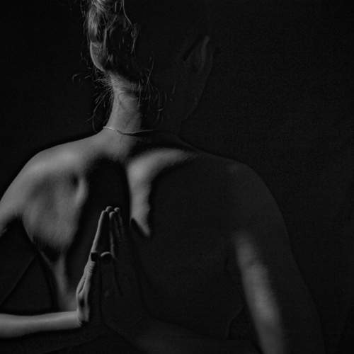 Photo #7880413