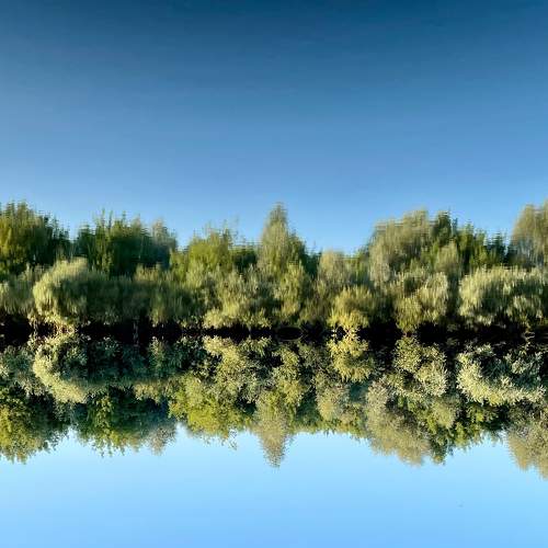Photo #7880417