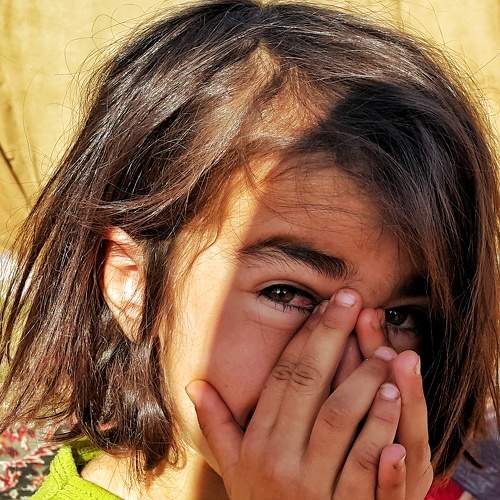 Photo #7880849