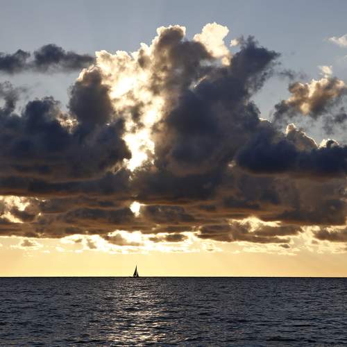 Photo #7882059