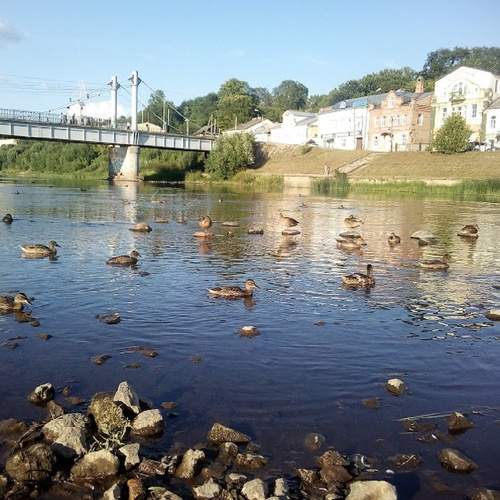 Photo #7882081