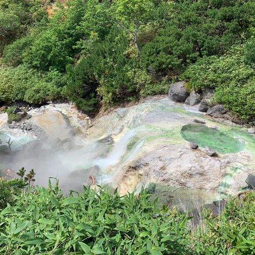 Photo #7882211