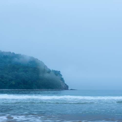 Photo #7882798