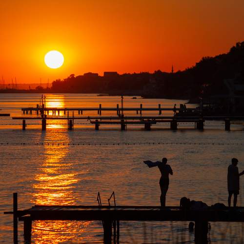 Photo #7883218