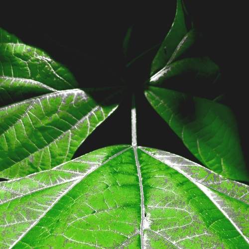 Photo #7884150
