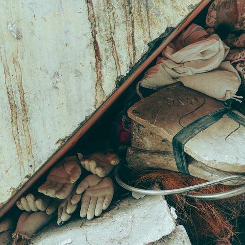 Photo #7884504