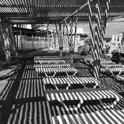 Photo #7884820