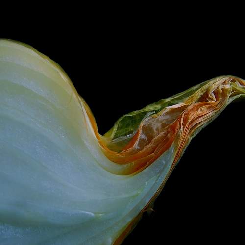 Photo #7885002