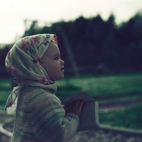 Photo #7885206
