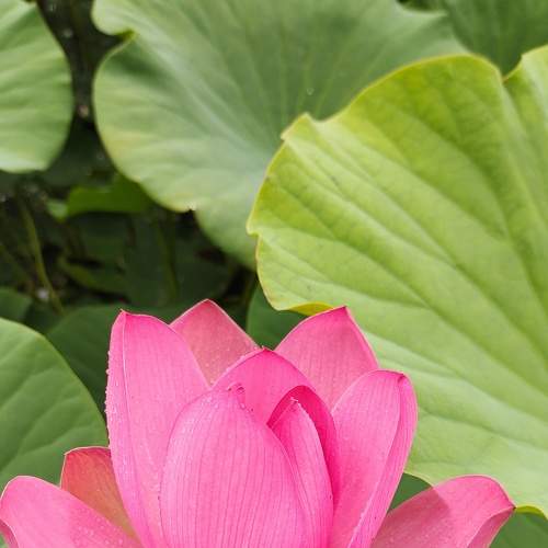 Photo #7885762