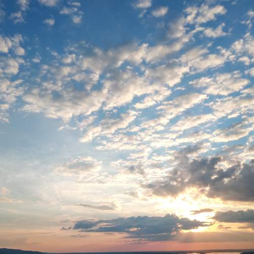 Photo #7886250