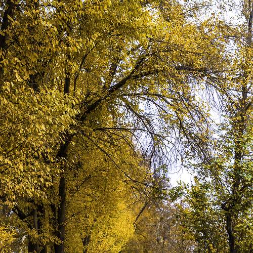 Photo #7886365