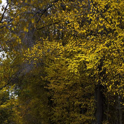 Photo #7886367