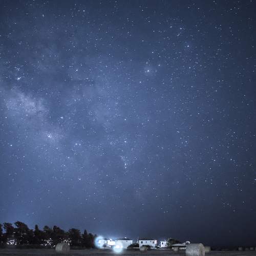 Photo #7886420