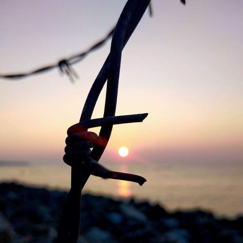 Photo #7886504