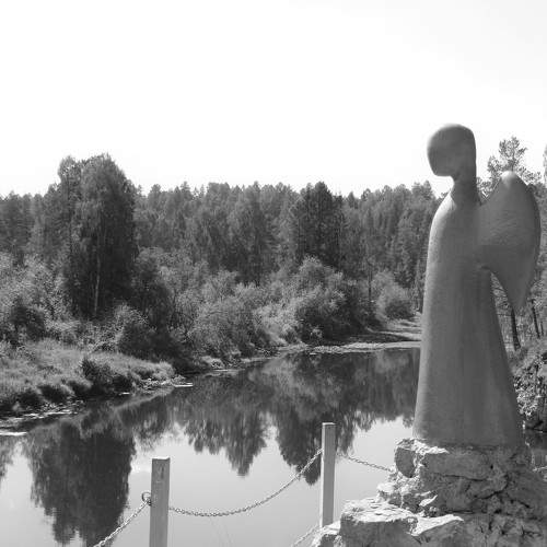 Photo #7886660