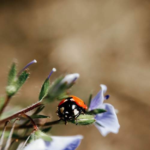 Photo #7886734