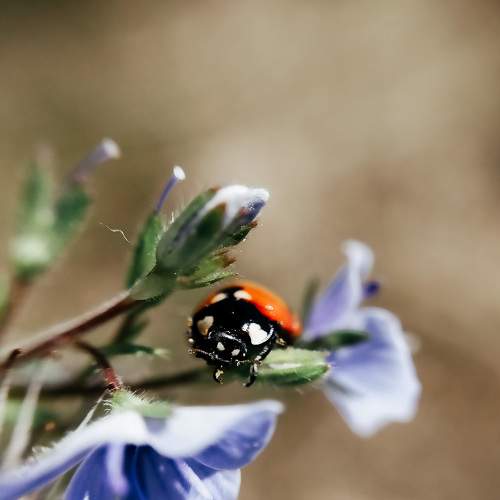 Photo #7886735