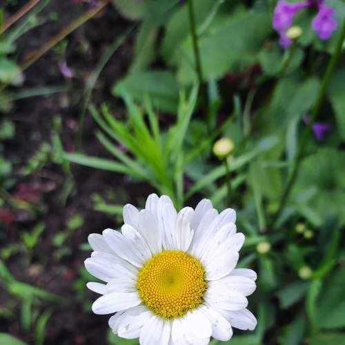 Photo #7887105