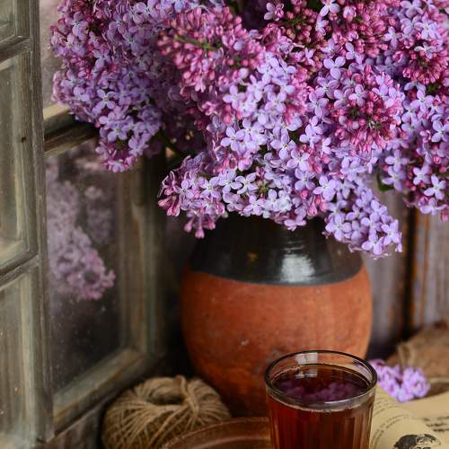 Photo #7887287