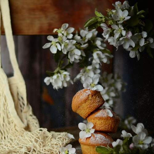 Photo #7887307