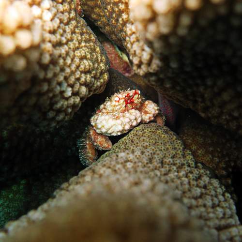 Photo #7887492