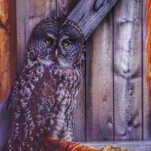 Photo #7887651