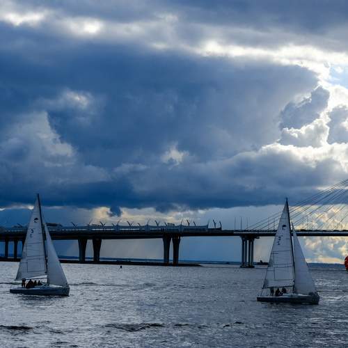 Photo #7887703