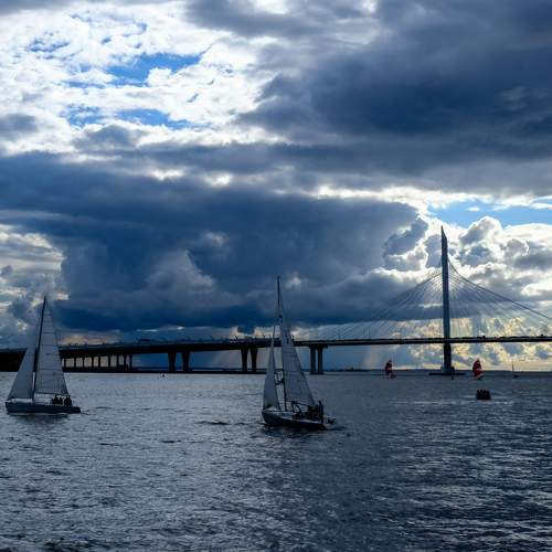 Photo #7887704