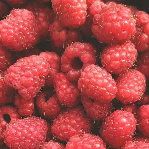 Photo #7887901