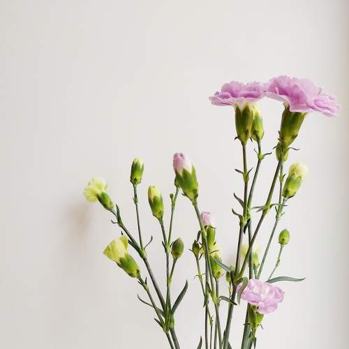 Photo #7887907