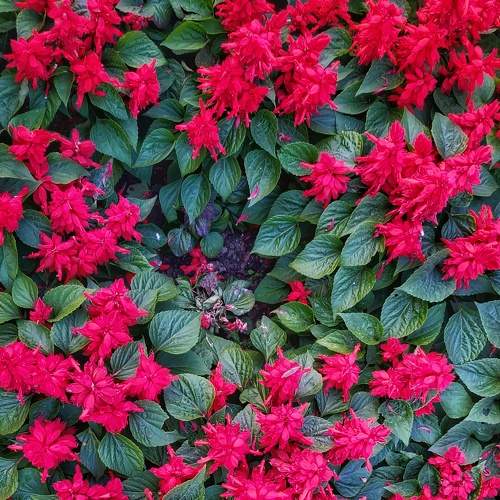Photo #7887951