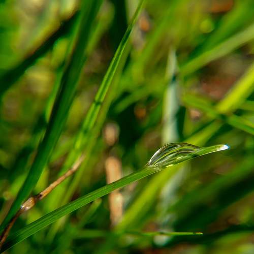 Photo #7888255