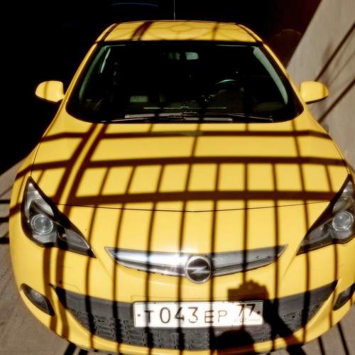 Photo #7888385