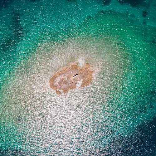 Photo #7888769