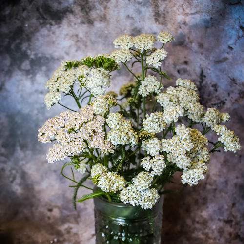 Photo #7888885