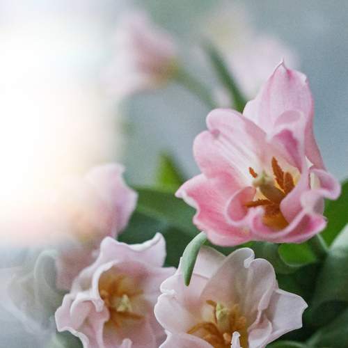 Photo #7889209
