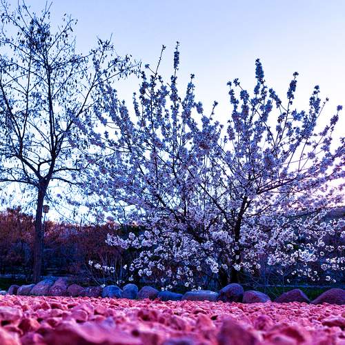 Photo #7889376