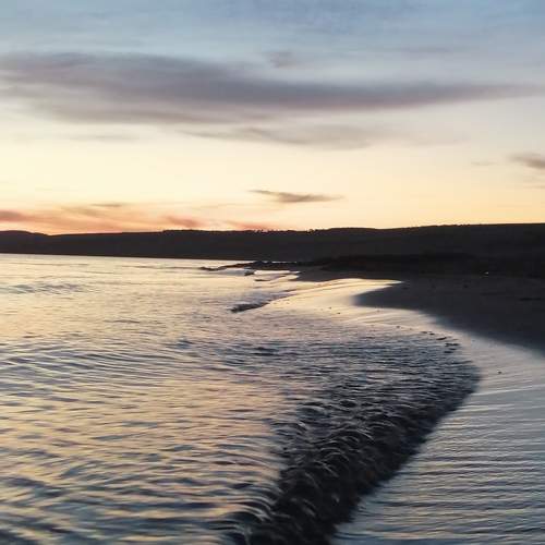 Photo #7889465