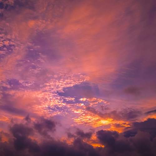 Photo #7890020