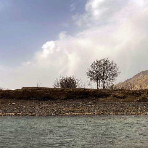silence of nature