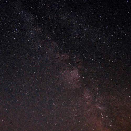 Photo #7890232