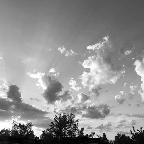 Photo #7890514