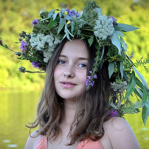 Photo #7891390