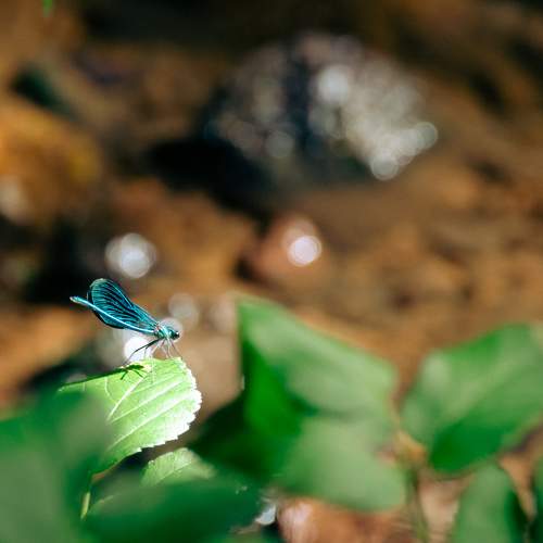 Photo #7891557