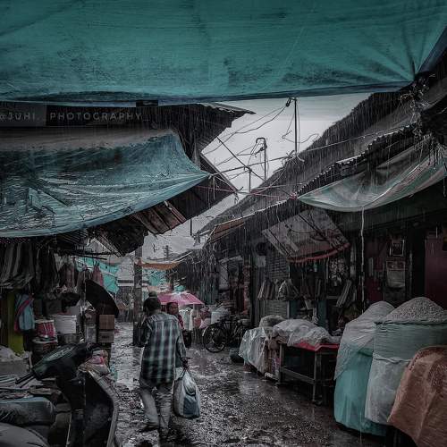 Photo #7892613